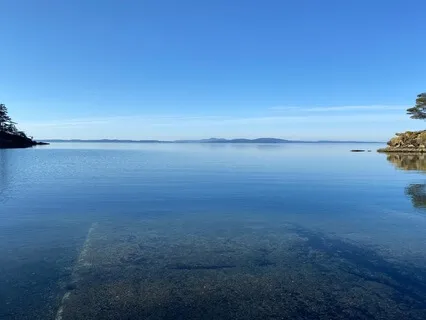 The Power Of The Pause