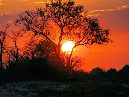 The Power Of The Pause