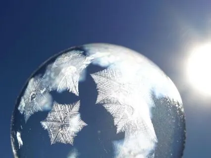 The Power Of The Polite No