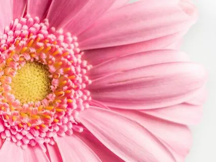 The Power Of The Soul