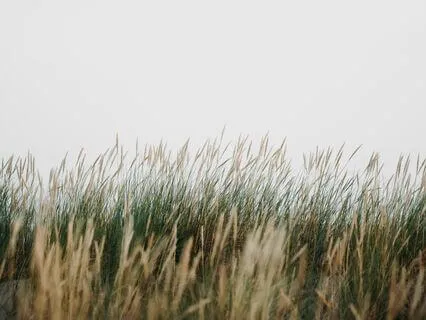 The Power Of Trade-offs: What Essentialism Taught Me