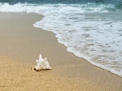 The Power Of Validation 