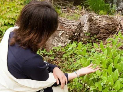 The Power Of Vitality: Transforming Your Body & Mind