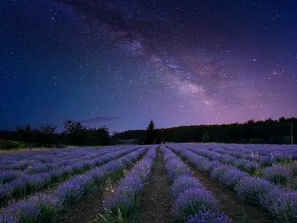 The Power Of Women's Dreams: Exploring The Mystical Realm