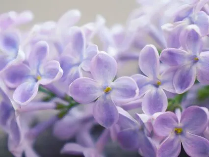 The Power Of You: Being Yourself Attracting Aligned Clients