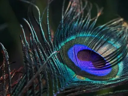 The Power Of Younger You