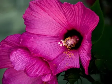 The Power Of Your Heart