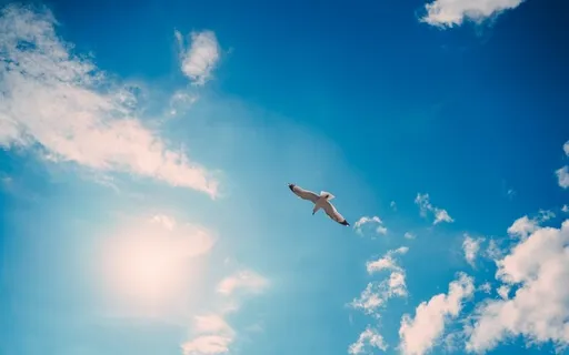 The Power To Pack Up & Let Go 