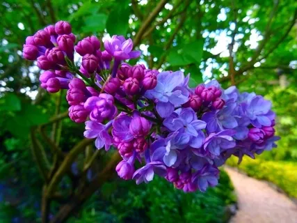 The Power To Tolerate & Respect