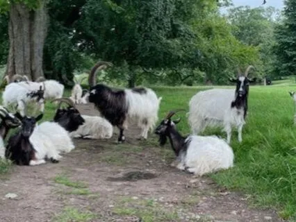 The Power Within The Energy Of Our Thinking