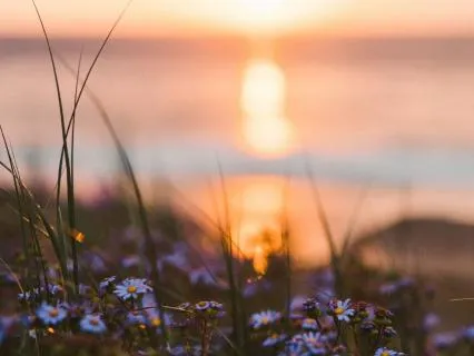 The Power You Took Back In Pieces: Resilience Storytime
