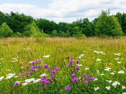 The Powercut Reverie: Long Bedtime Story