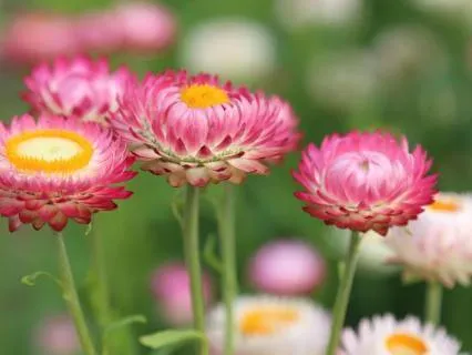 The Practice Of Ahimsa Through Self-Care