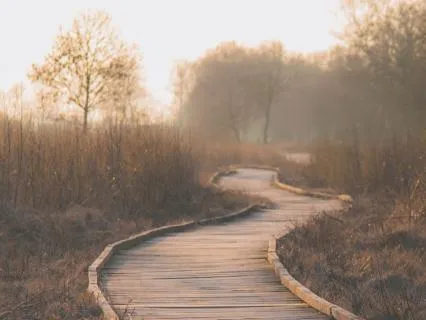 The Practice Of Coming Back