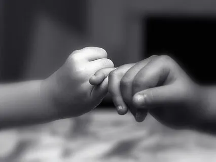 The Practice of Conscious Attraction