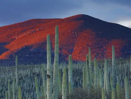 The Practice Of Enoughness