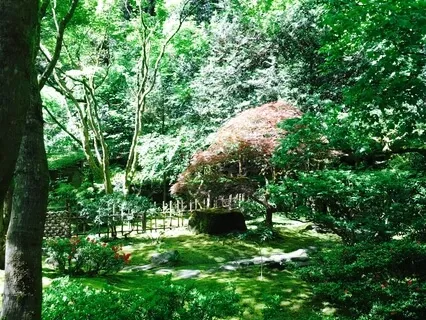 The Practice Of Gratitude