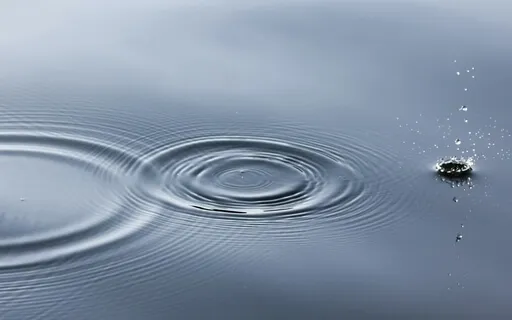 The Practice Of No Practice