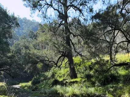 The Practice Of RAIN