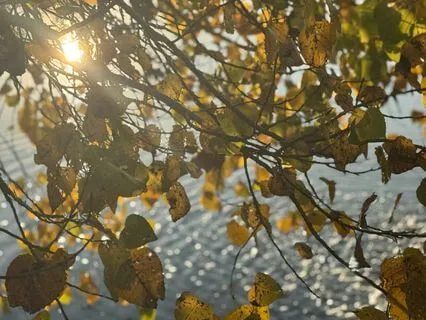 The Practice Of Self-Grace: A Gift From The Divine Feminine