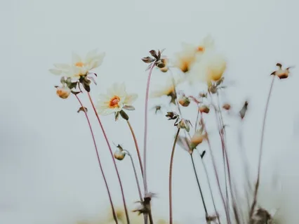 The Practice Of Staying 