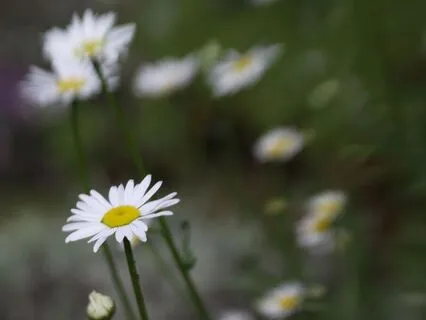 The Practice Of Surrender