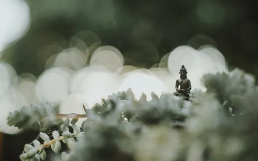 The Prana Meditation | Breathe Through The Prana Vayus