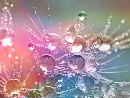 The Prayer Before The Prayer Of Forgiveness By Desmond Tutu