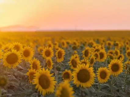 The Prayer For Befriending Yourself