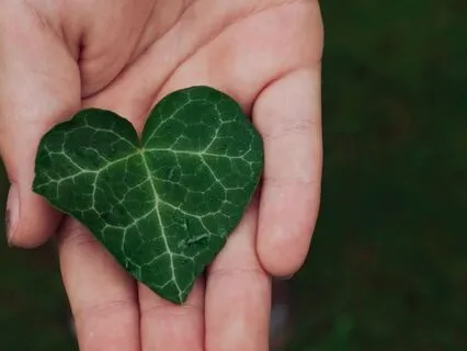 The Prayer For Connection