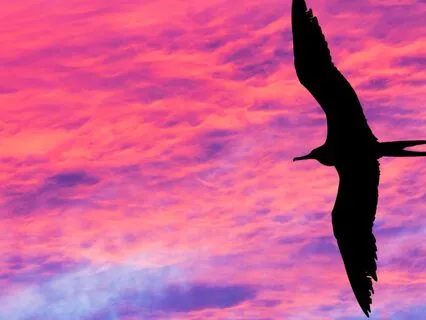 The Prayer For Enoughness