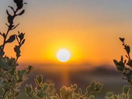 The Prayer For Trust