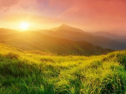 The Prayer Of Saint Francis-Contemplation