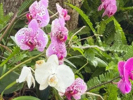 The Precious Gift Of Inner Awareness