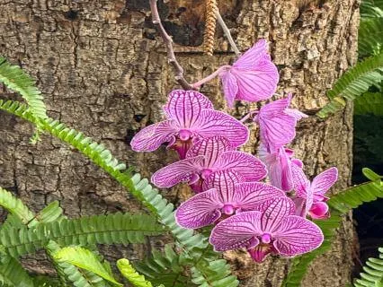 The Precious Gift Of Nature And It's Inspiration