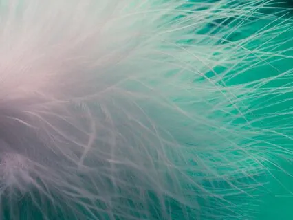 The Presence Of The Divine - Music For A Short Meditation