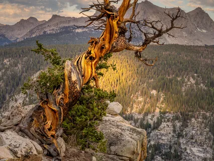 The Present (Mindfulness Meditation)