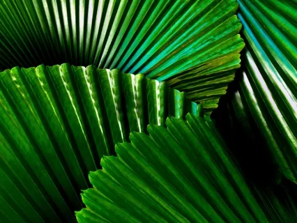  The Present Moment: Come For The Peace, Stay For The War