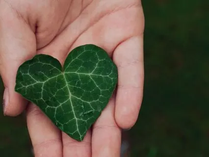 The Present Moment - Let Go Stress And Live In The Now