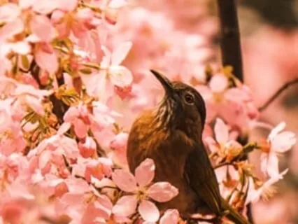 The Present Moment - Gratitude Practice