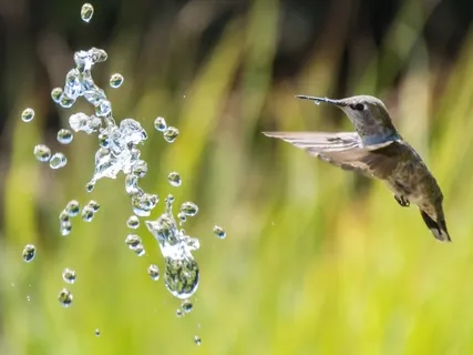 The Present Moment (Still Version)