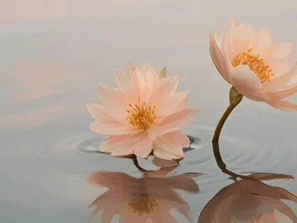 The Present Moment, Where Bliss Is Effortless