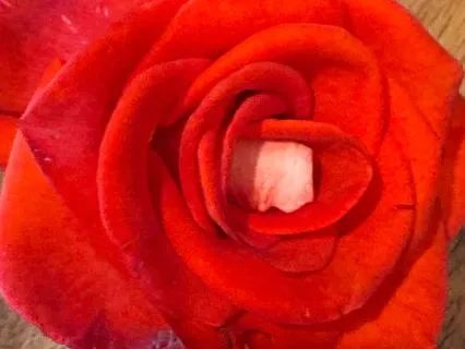 The Priceless Gift Of Inspiration