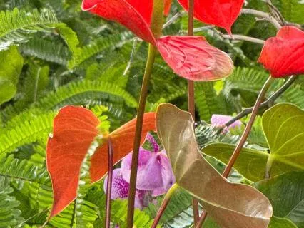 The Priceless Gift Of Time