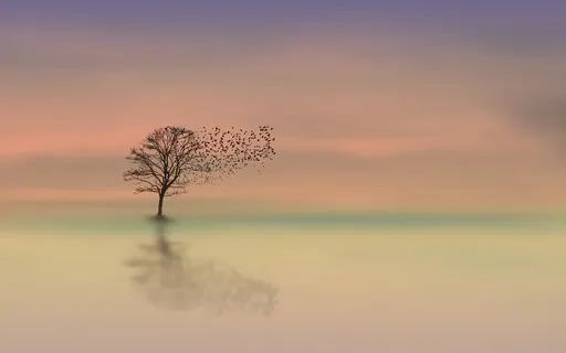 The Product Is Not The Path