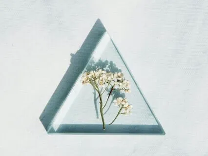 The Profound Calm Of Three-Pointed Mindfulness