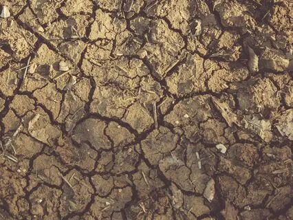 The Promise Is Still In Play • Grounding : Waiting Series