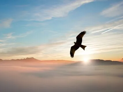 The Prophecy Of Our Times