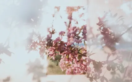 "The Prophet" By Khalil Gibran: On Beauty