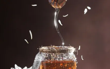 "The Prophet" By Khalil Gibran: On Pleasure